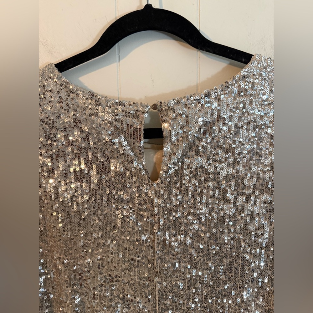 Rachel Zoe Sparkly Sequin Champagne Blouse, Size M - Picture 7 of 10